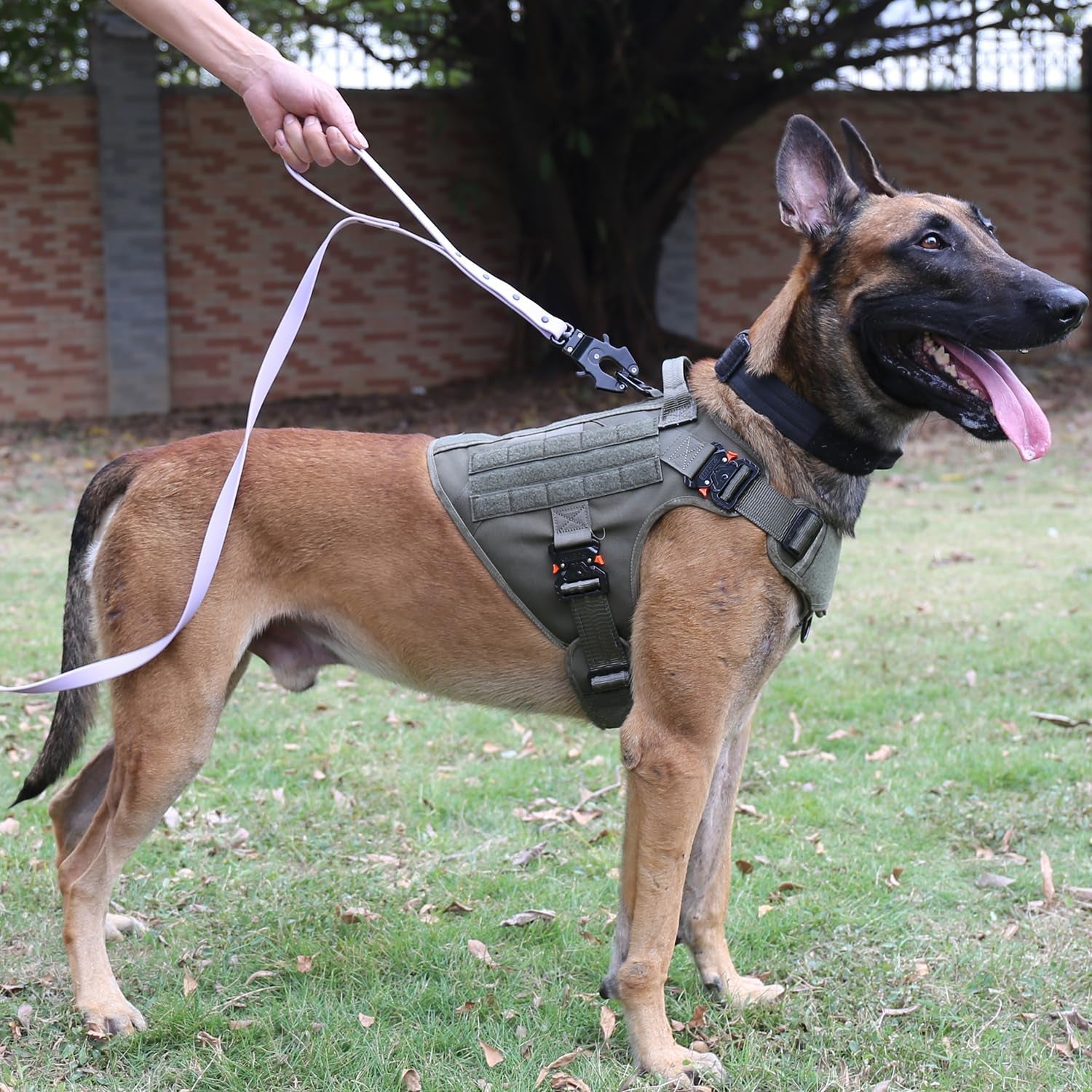 Tactical No-Pull Dog Harness – Adjustable Heavy-Duty Vest with Reflective Straps & Secure Control Handle